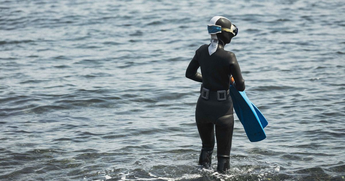 Can I dive with Ama divers in Japan? | Answer to a question from customer